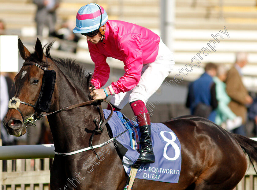 Scarlett-O Hara-0001 
 SCARLETT O'HARA (Nathan Crosse)
Newmarket 29 Sep 2023 - Pic Steven Cargill / Racingfotos.com