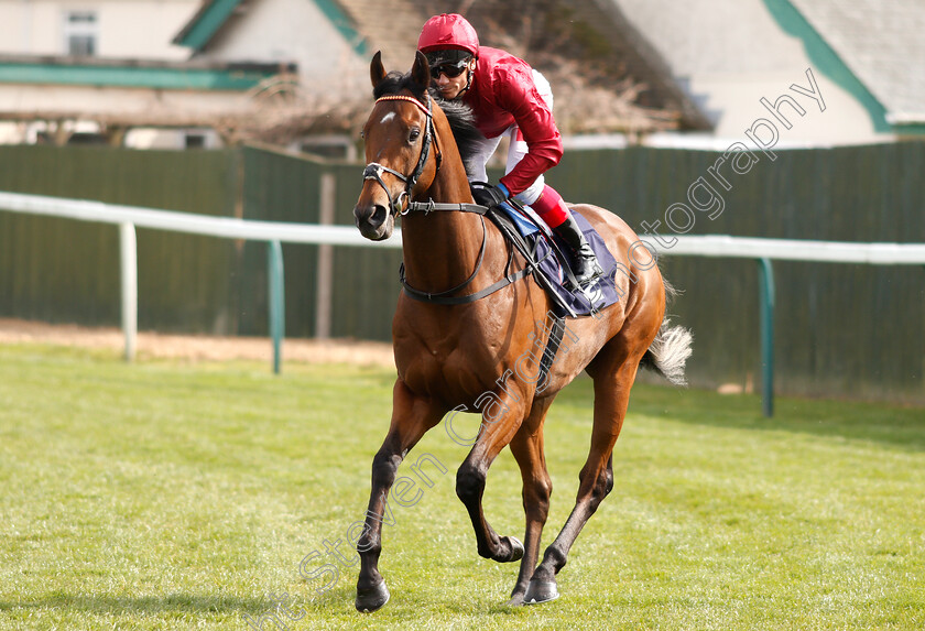 King-Of-Comedy-0001 
 KING OF COMEDY (Frankie Dettori) winner of The Eastern Power Systems Of Norwich Novice Stakes
Yarmouth 23 Apr 2019 - Pic Steven Cargill / Racingfotos.com