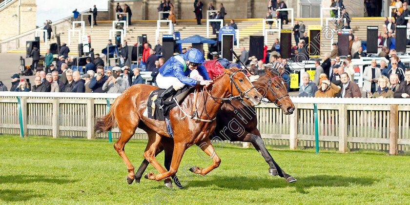 Canterbury-Bell-0002 
 CANTERBURY BELL (farside, Tom Marquand) beats SILVER KITTEN (nearside) in The Discover Newmarket Fillies Restricted Novice Stakes Div1
Newmarket 20 Oct 2021 - Pic Steven Cargill / Racingfotos.com