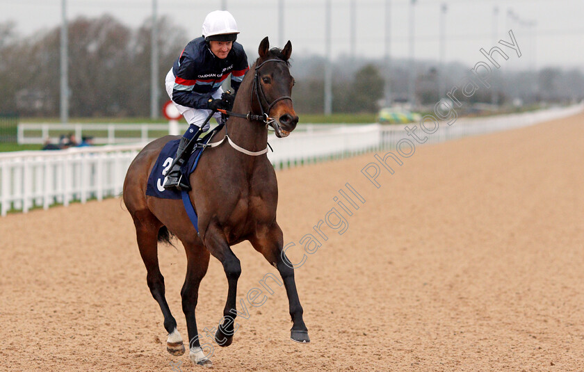 Dance-Fever-0001 
 DANCE FEVER (Liam Keniry)
Southwell 13 Feb 2022 - Pic Steven Cargill / Racingfotos.com