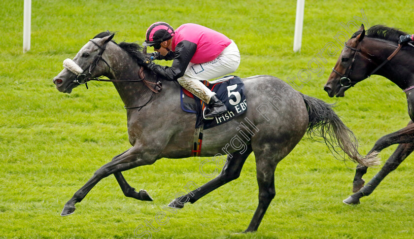 Big-Gossey-0003 
 BIG GOSSEY (Robert Whearty) wins The Irish Stallion Farms EBF Bold Lad Sprint Handicap
The Curragh 10 Sep 2023 - Pic Steven Cargill / Racingfotos.com