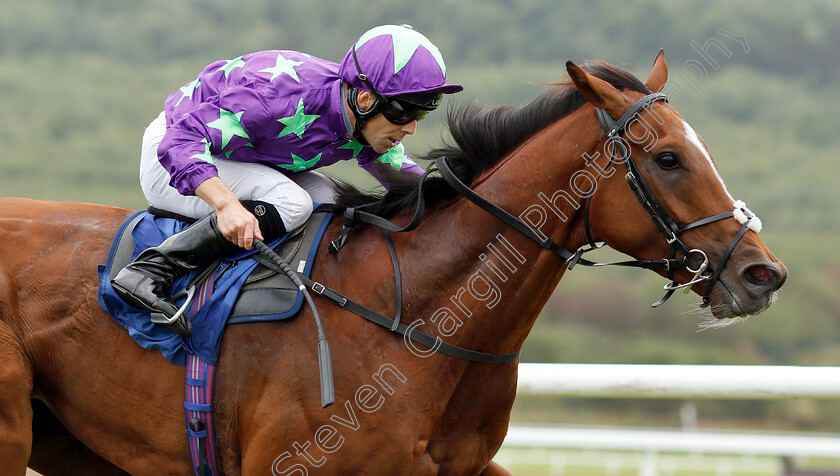 Formula-One-0006 
 FORMULA ONE (Ben Curtis) wins The Watch Live Programming On The ATR App Novice Stakes
Ffos Las 14 Aug 2018 - Pic Steven Cargill / Racingfotos.com