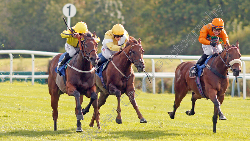 Wise-Words-0003 
 WISE WORDS (left, P J McDonald) beats CORINTHIA KNIGHT (centre) and FREE LOVE (right) in The EBF Stallions Prestwold Conditions Stakes
Leicester 10 Sep 2019 - Pic Steven Cargill / Racingfotos.com