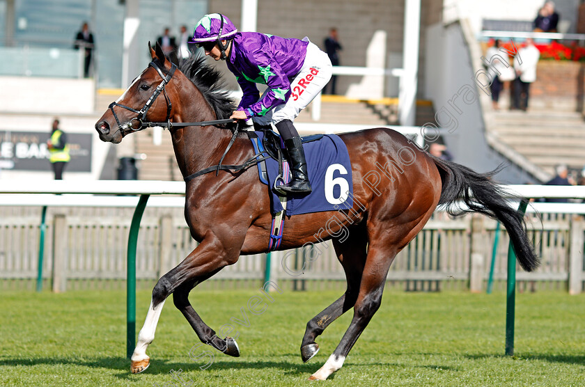 Gododdin-0001 
 GODODDIN (Josephine Gordon) Newmarket 28 Sep 2017 - Pic Steven Cargill / Racingfotos.com