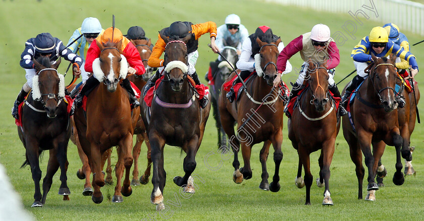 Saaheq-0001 
 SAAHEQ (Luke Morris) beats VIMY RIDGE (2nd left) and THREE LITTLE BIRDS (2nd right) in The Smarkets Handicap
Sandown 19 Sep 2018 - Pic Steven Cargill / Racingfotos.com