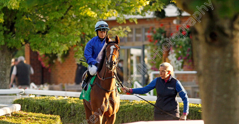 Lipslikecherries-0001 
 LIPSLIKECHERRIES (Nicola Currie)
Kempton 2 Oct 2019 - Pic Steven Cargill / Racingfotos.com