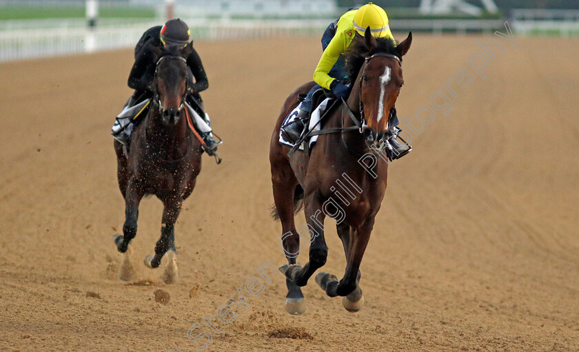 Age-Of-Baroque-0001 
 AGE OF BAROQUE training at the Dubai Racing Carnival
Meydan 22 Jan 2025 - Pic Steven Cargill / Racingfotos.com