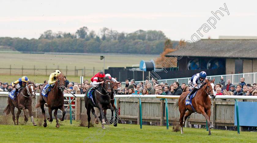 Feliciana-De-Vega-0001 
 FELICIANA DE VEGA (Harry Bentley) wins The Darley Stakes
Newmarket 12 Oct 2019 - Pic Steven Cargill / Racingfotos.com