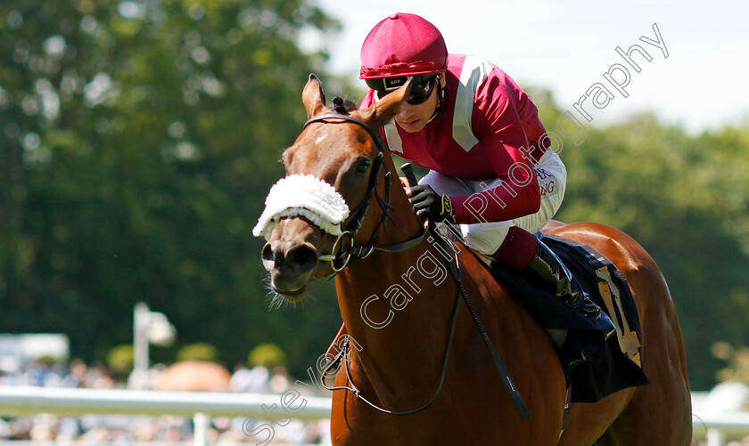 Remaat-0004 
 REMAAT (Oisin Murphy) wins The Blandford Bloodstock Maiden Fillies Stakes
Newmarket 29 Jun 2024 - Pic Steven Cargill / Racingfotos.com