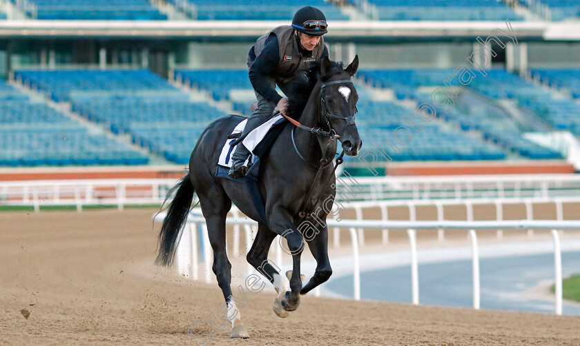 Heart-Of-Honor-0003 
 HEART OF HONOR training at the Dubai Racing Carnival 
Meydan 2 Jan 2025 - Pic Steven Cargill / Racingfotos.com