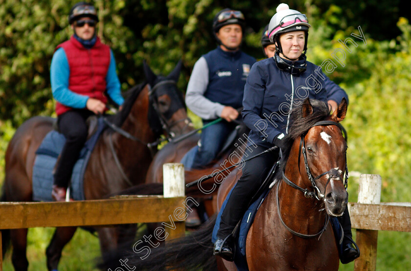 Palace-Pier-0001 
 PALACE PIER on his way back to the yard after cantering
Newmarket 1 Jul 2021 - Pic Steven Cargill / Racingfotos.com