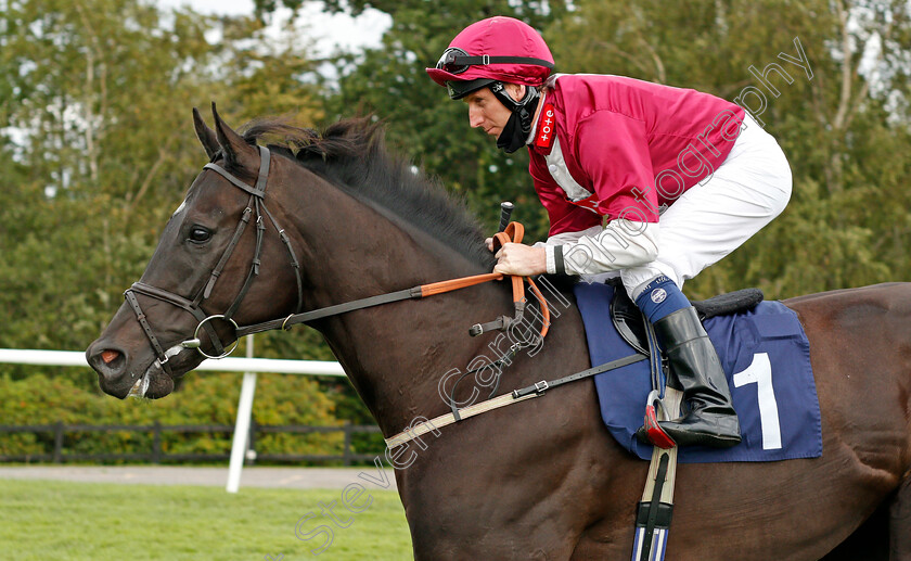 Gratot-0001 
 GRATOT (Martin Dwyer)
Lingfield 26 Aug 2020 - Pic Steven Cargill / Racingfotos.com