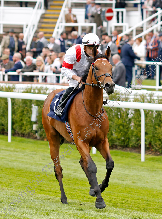 Asean-Legend-0001 
 ASEAN LEGEND (Tom Marquand)
Chester 4 May 2022 - Pic Steven Cargill / Racingfotos.com