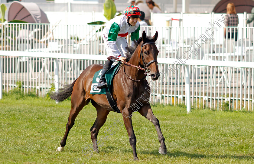 Gajetta-0001 
 GAJETTA (Michael Abik)
Baden Baden 1 Sep 2024 - Pic Steven Cargill / Racingfotos.com