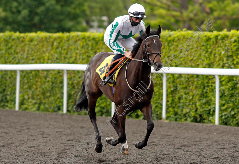 Blaast-0001 
 BLAAST (Adam McNamara)
Kempton 2 Jun 2021 - Pic Steven Cargill / Racingfotos.com