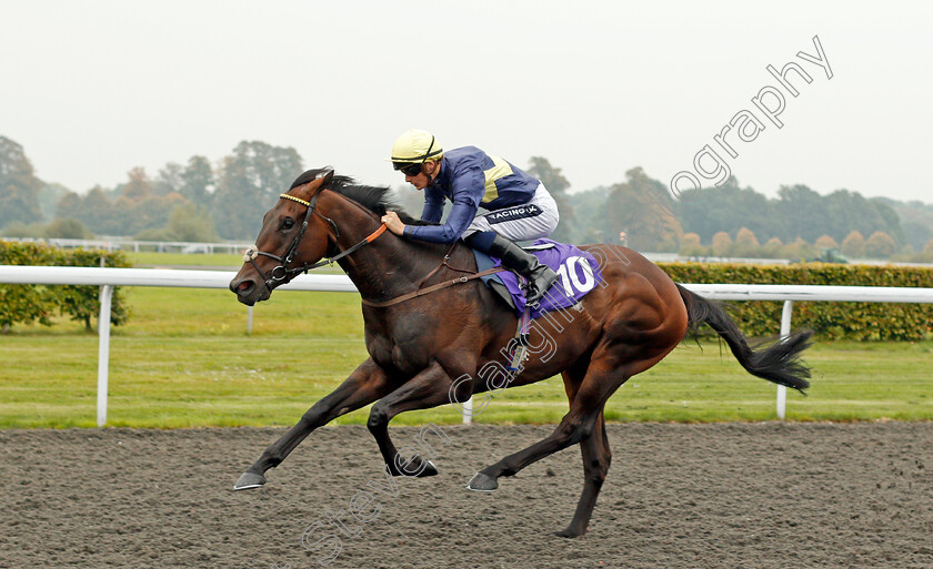 Ply-0004 
 PLY (Harry Bentley) wins The Winners Are Welcome At Matchbook Handicap Kempton 25 Sep 2017 - Pic Steven Cargill / Racingfotos.com