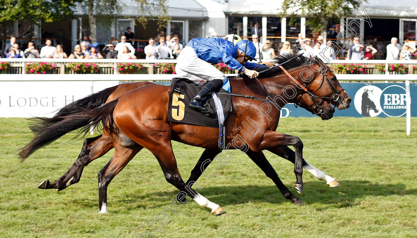 Dubai-Tradition-0005 
 DUBAI TRADITION (Hector Crouch) wins The Maritime Cargo Handicap
Newmarket 13 Jul 2019 - Pic Steven Cargill / Racingfotos.com