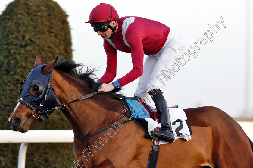 Reeth-0008 
 REETH (Robert Havlin) wins The 32Red Casino Handicap
Kempton 4 Jan 2019 - Pic Steven Cargill / Racingfotos.com