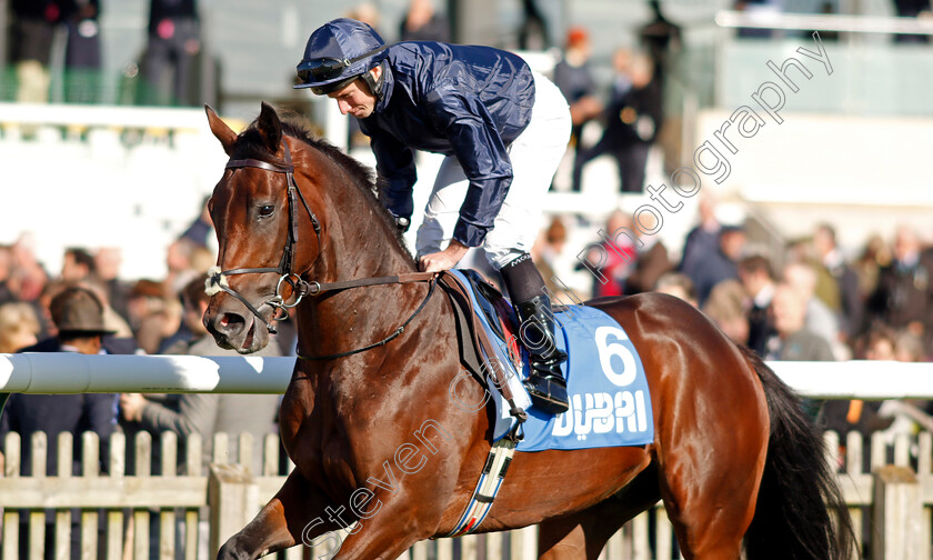 Treasure-Isle-0003 
 TREASURE ISLE (Ryan Moore)
Newmarket 11 Oct 2024 - Pic Steven Cargill / Racingfotos.com