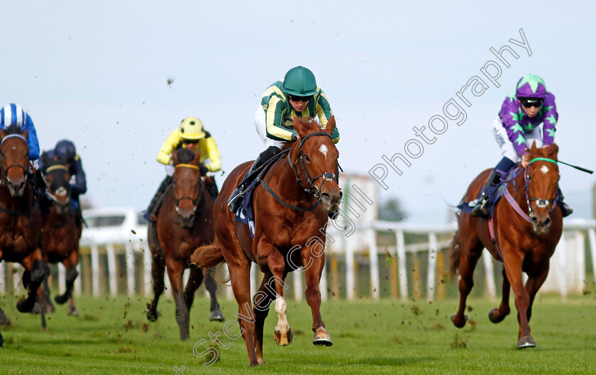 Telemark-0005 
 TELEMARK (Jack Mitchell) wins The British Stallion Studs EBF Novice Stakes
Yarmouth 16 Oct 2023 - Pic Steven Cargill / Racingfotos.com