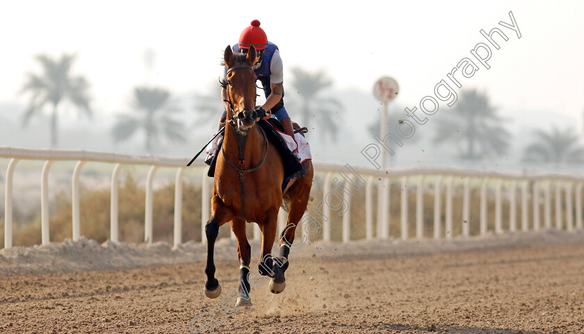 Fev-Rover-0001 
 FEV ROVER exercising in preparation for Friday's Bahrain International Trophy
Sakhir Racecourse, Bahrain 16 Nov 2021 - Pic Steven Cargill / Racingfotos.com