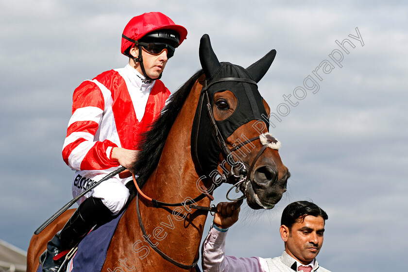 Sheikhzayedroad-0002 
 SHEIKHZAYEDROAD (Martin Harley) Doncaster 15 Sep 2017 - Pic Steven Cargill / Racingfotos.com