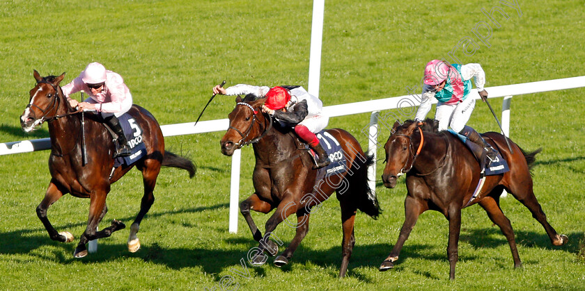 Star-Catcher-0002 
 STAR CATCHER (centre, Frankie Dettori) beats DELPHINIA (left) and SUN MAIDEN (right) in The Qipco British Champions Fillies & Mares Stakes
Ascot 19 Oct 2019 - Pic Steven Cargill / Racingfotos.com