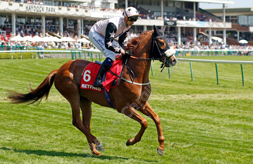 Swift-Tuttle-0001 
 SWIFT TUTTLE (Alistair Rawlinson)
Haydock 27 May 2023 - Pic Steven Cargill / Racingfotos.com