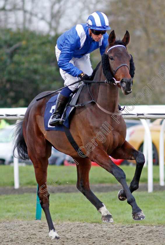 Azaheer-0001 
 AZAHEER (Jim Crowley)
Lingfield 1 Dec 2021 - Pic Steven Cargill / Racingfotos.com