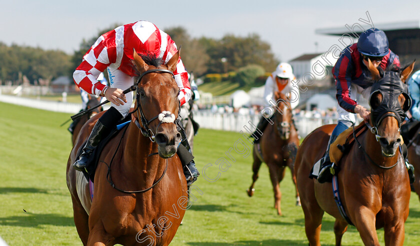 Via-Serendipity-0005 
 VIA SERENDIPITY (Stevie Donohoe) wins The White Beech Farm Optional Claiming Handicap
Goodwood 22 Sep 2021 - Pic Steven Cargill / Racingfotos.com