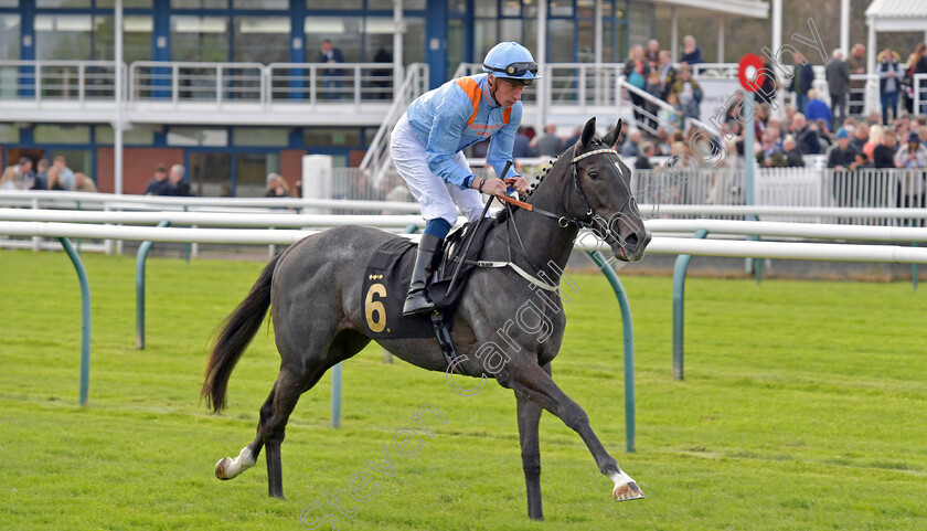 Got-To-Love-A-Grey-0001 
 GOT TO LOVE A GREY (Sam James) winner of The British Racing Supports Stephen Lawrence Day Restricted Novice Stakes
Nottingham 22 Apr 2023 - pic Steven Cargill / Becky Bailey / Racingfotos.com