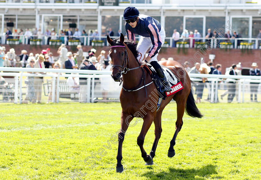 Queen-Of-Bermuda-0001 
 QUEEN OF BERMUDA (James Doyle) 
Goowood 1 Aug 2018 - Pic Steven Cargill / Racingfotos.com