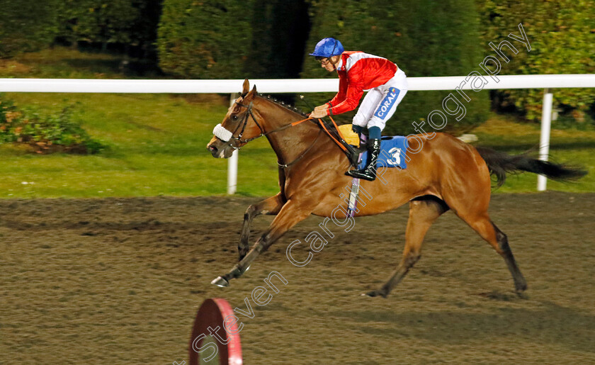 Incensed-0002 
 INCENSED (David Probert) wins The Happy 45th Anniversary Sunbury Antiques Handicap
Kempton 6 Sep 2024 - Pic Steven Cargill / Racingfotos.com