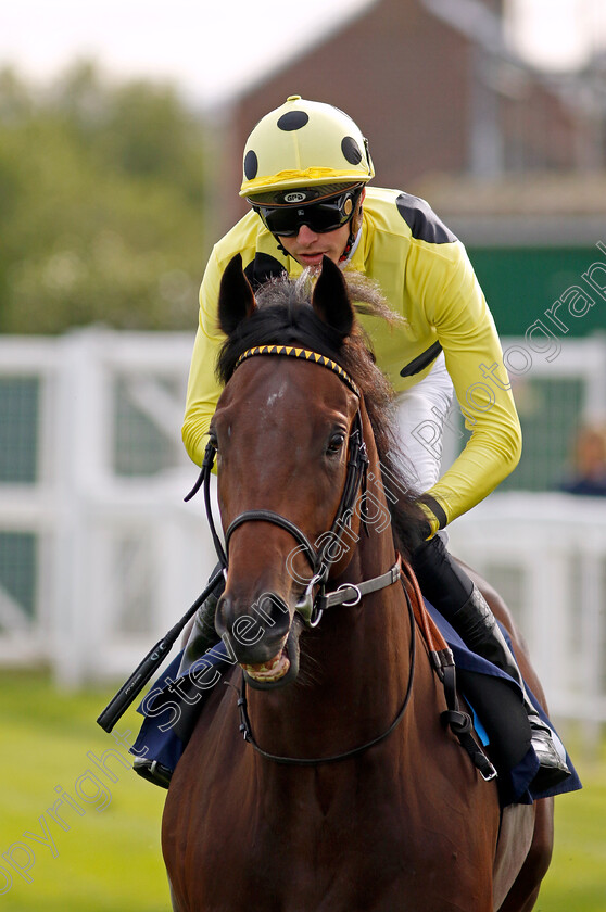 Gracious-Leader-0003 
 GRACIOUS LEADER (James Doyle)
Yarmouth 16 Oct 2023 - Pic Steven Cargill / Racingfotos.com