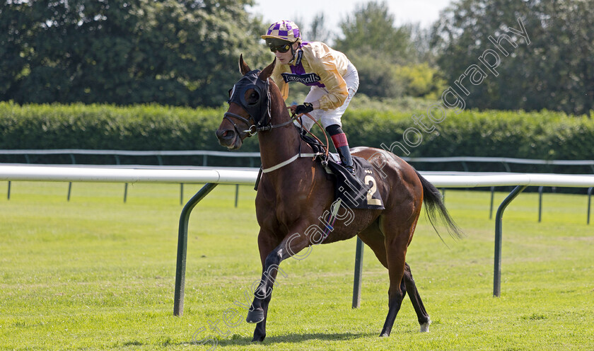 Happy-Tears-0001 
 HAPPY TEARS (David Egan)
Nottingham 19 Jul 2024 - Pic Steven Cargill / Megan Dent / Racingfotos.com