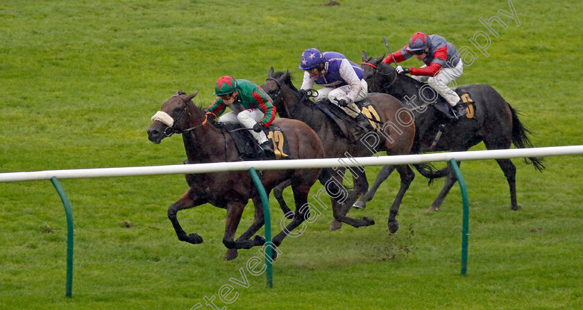 Terries-Royale-0005 
 TERRIES ROYALE (Tom Marquand) wins The Ultimate Provence Handicap
Newmarket 26 Sep 2024 - Pic Steven Cargill / Racingfotos.com