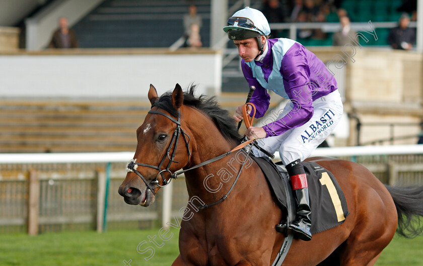 Applaud-Now 
 APPLAUD NOW (Adam Kirby)
Newmarket 20 Oct 2021 - Pic Steven Cargill / Racingfotos.com