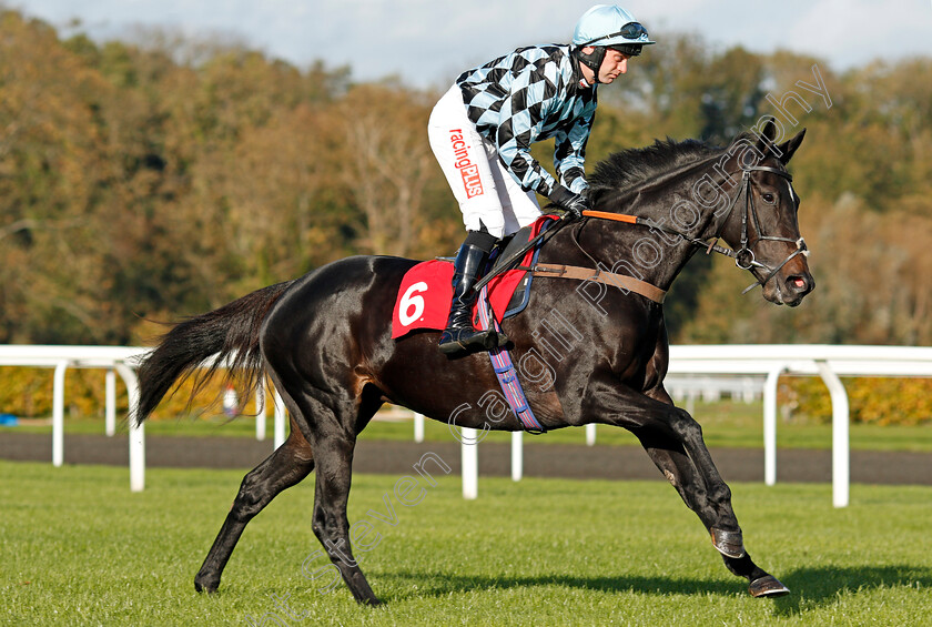 Cockney-Wren-0001 
 COCKNEY WREN (Niall Madden) Kempton 22 Oct 2017 - Pic Steven Cargill / Racingfotos.com