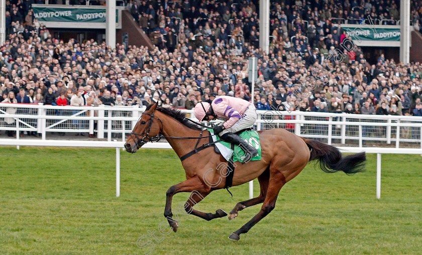 Oldgrangewood-0001 
 OLDGRANGEWOOD (Harry Skelton) wins The Paddy Power Handicap Chase
Cheltenham 1 Jan 2020 - Pic Steven Cargill / Racingfotos.com