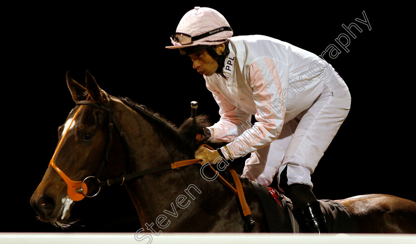 Land-Of-Winter-0001 
 LAND OF WINTER (Sean Levey)
Chelmsford 29 Nov 2018 - Pic Steven Cargill / Racingfotos.com