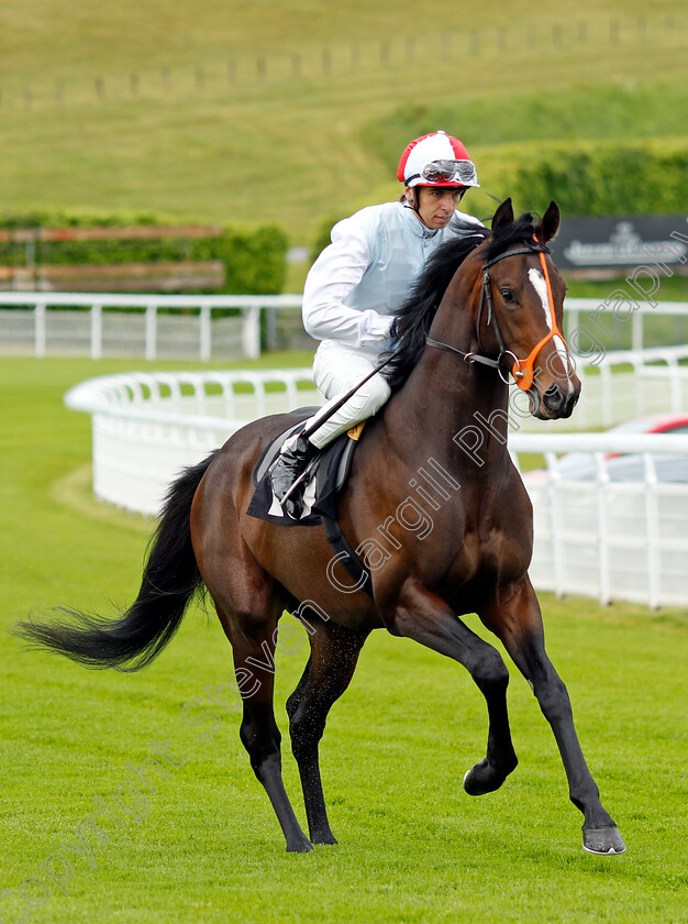 Show-Respect 
 SHOW RESPECT (Louis Steward)
Goodwood 20 May 2022 - Pic Steven Cargill / Racingfotos.com