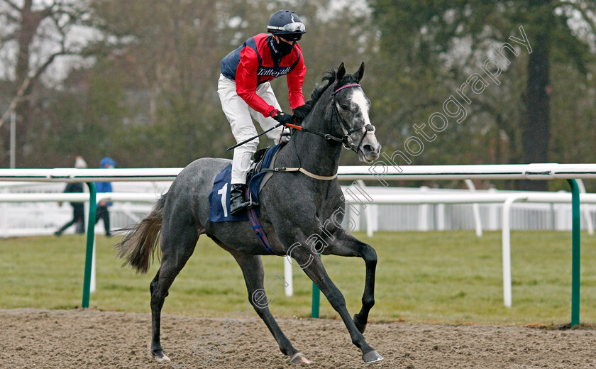 Duke-Of-Verona-0001 
 DUKE OF VERONA (Mark Crehan)
Lingfield 10 Mar 2021 - Pic Steven Cargill / Racingfotos.com