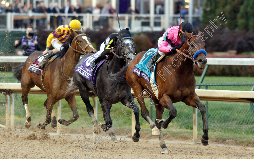 Game-Winner-0008 
 GAME WINNER (Joel Rosario) wins The Breeders' Cup Juvenile
Churchill Downs 2 Nov 2018 - Pic Steven Cargill / Racingfotos.com