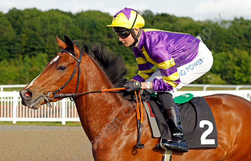 Cable-Mountain 
 CABLE MOUNTAIN (William Cox)
Chelmsford 7 Jun 2022 - Pic Steven Cargill / Racingfotos.com