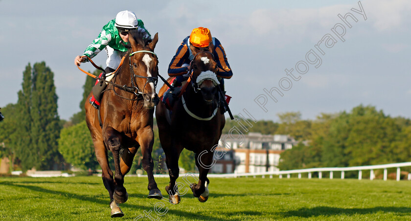 Roberto-Escobarr-0004 
 ROBERTO ESCOBARR (left, Richard Kingscote) beats NATE THE GREAT (right) in The Racehorse Lotto Henry II Stakes
Sandown 25 May 2023 - Pic Steven Cargill / Racingfotos.com