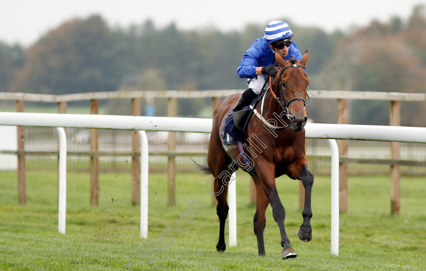 West-End-Charmer-0003 
 WEST END CHARMER (Silvestre De Sousa) wins The Almeda Facilities EBF Novice Stakes
Bath 17 Oct 2018 - Pic Steven Cargill / Racingfotos.com