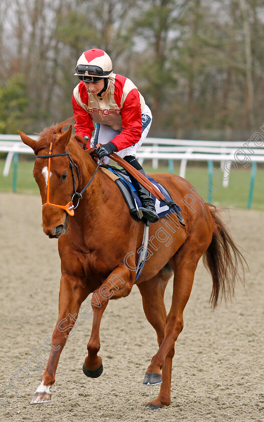 Centurion-Song-0001 
 CENTURION SONG (Nicola Currie)
Lingfield 14 Feb 2020 - Pic Steven Cargill / Racingfotos.com