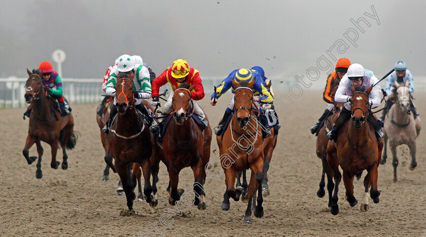 Supercontango-0002 
 SUPERCONTANGO (2nd right, James Sullivan) beats MAHALE (right) ZEN DANCER (2nd left) and RAINBOW'S PONY (left) in The Play Ladbrokes 5-A-Side On Football Maiden Stakes
Lingfield 27 Jan 2021 - Pic Steven Cargill / Racingfotos.com