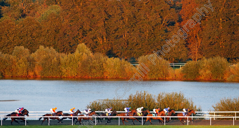 Kempton-0003 
 ROCKIT TOMMY (13 blue, David Probert) in mid pack on his way to winning The Highclere Castle Feeds Handicap
Kempton 2 Oct 2024 - Pic Steven Cargill / Racingfotos.com