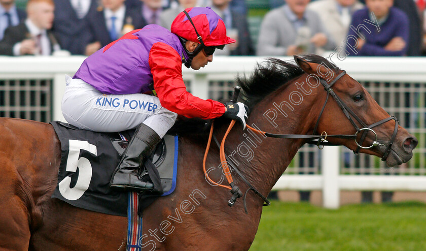 Di-Fede-0007 
 DI FEDE (Silvestre De Sousa) wins The Child Bereavement UK British EBF October Stakes
Ascot 5 Oct 2019 - Pic Steven Cargill / Racingfotos.com